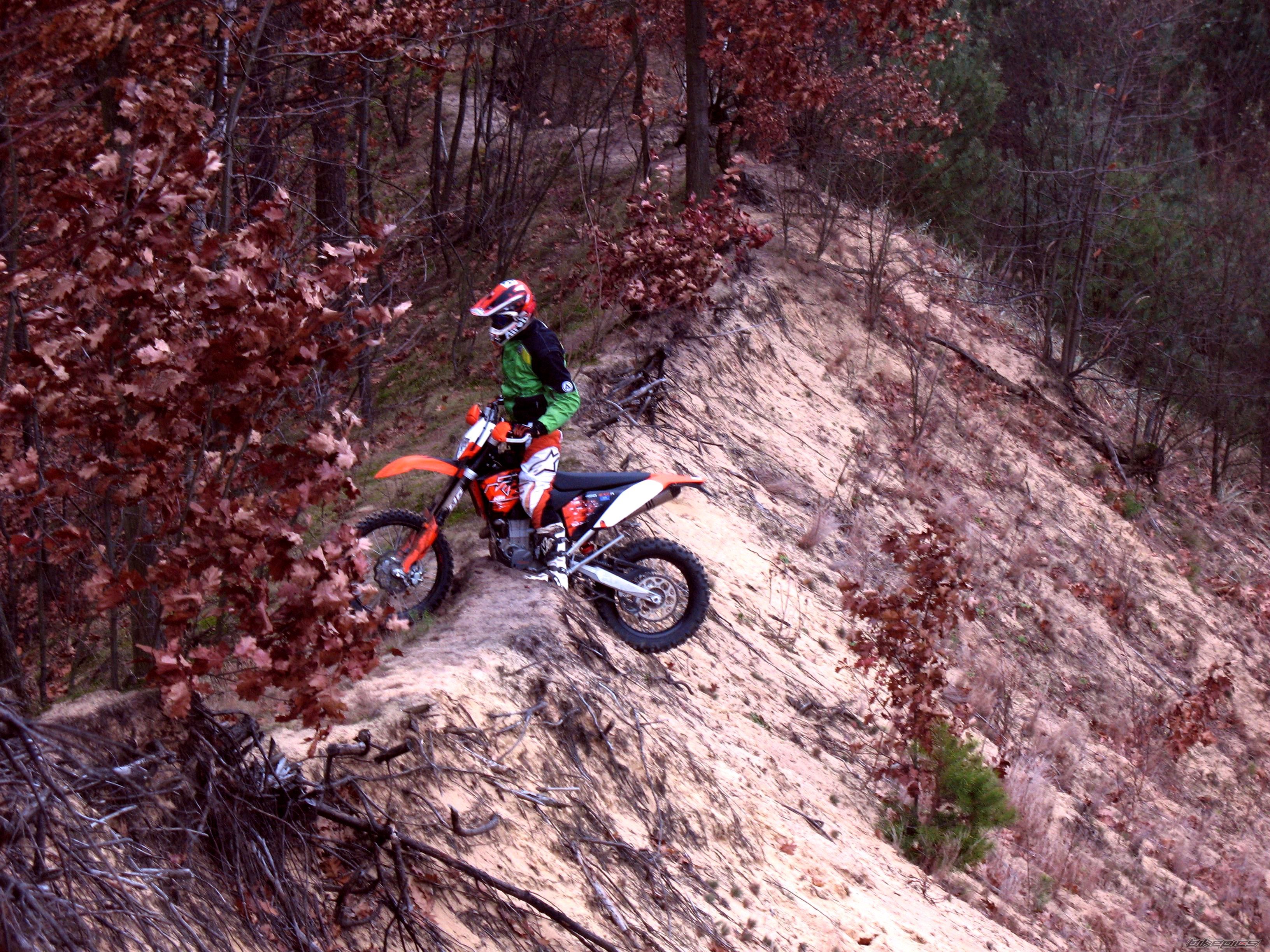 2008 KTM 450 EXC | Picture 1521386 motorcycle photo