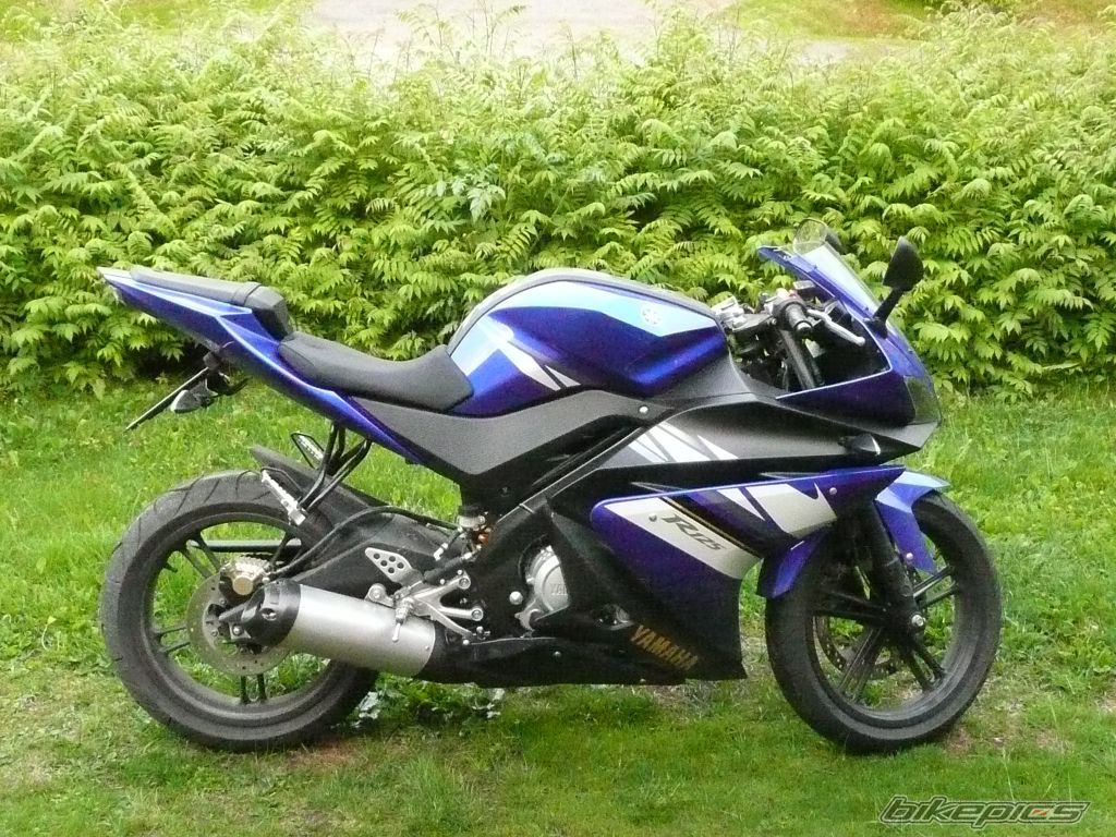 2008 YAMAHA YZF R125 | Picture 1521575 motorcycle photo