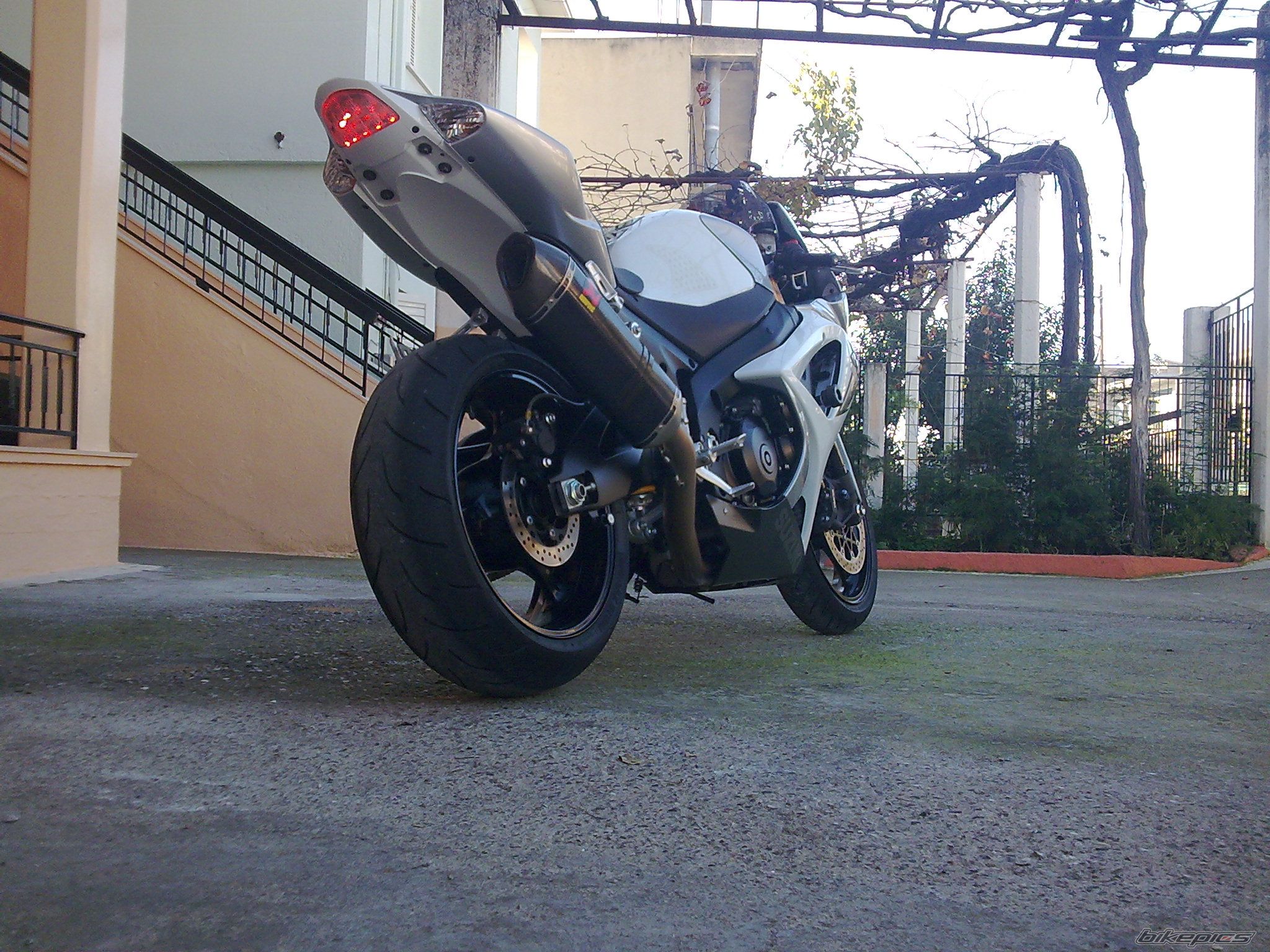 2008 SUZUKI GSX R 1000 | Picture 1521654 motorcycle photo
