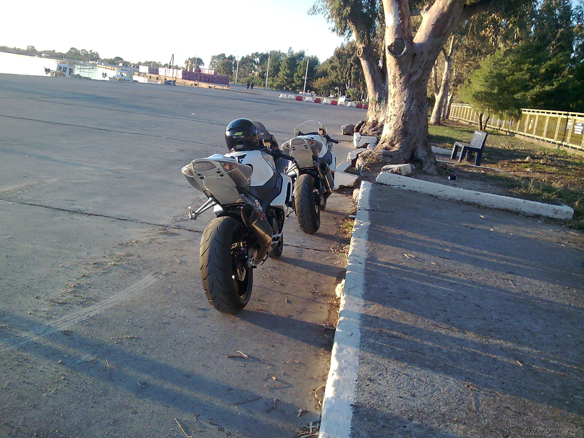 2008 SUZUKI GSX R 1000 | Picture 1521662 motorcycle photo