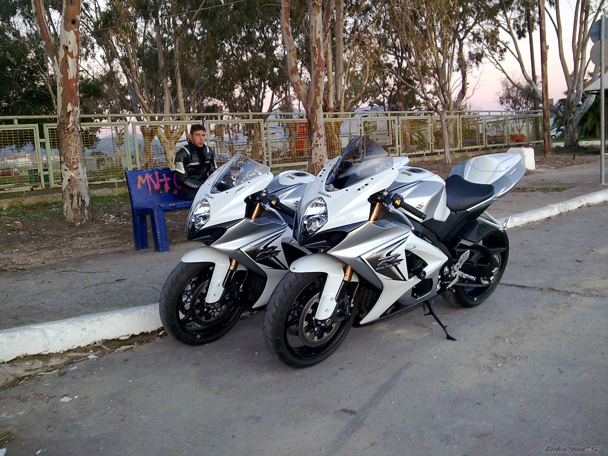 2008 SUZUKI GSX R 1000 | Picture 1521664 motorcycle photo
