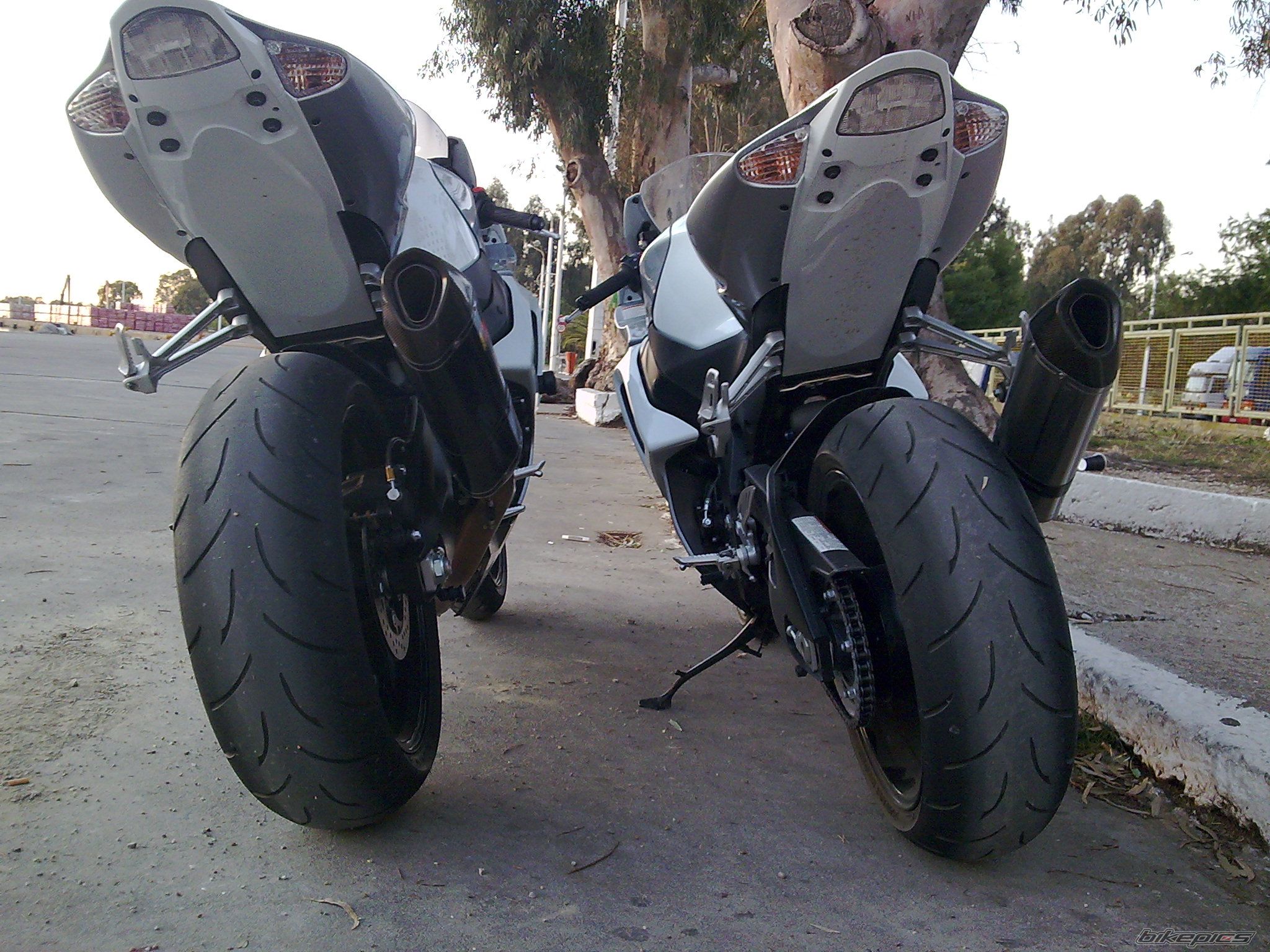 2008 SUZUKI GSX R 1000 | Picture 1521668 motorcycle photo