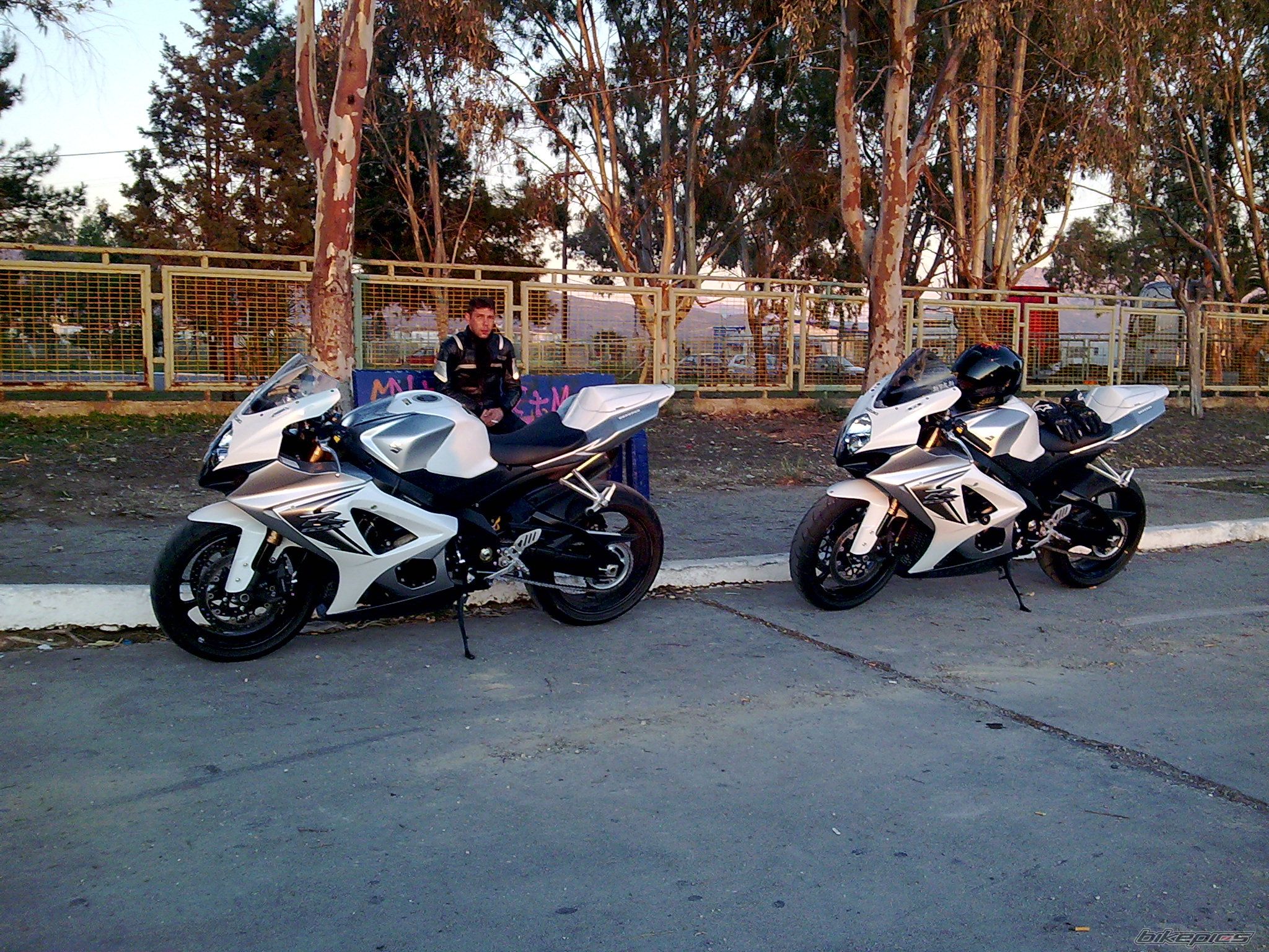2008 SUZUKI GSX R 1000 | Picture 1521671 motorcycle photo
