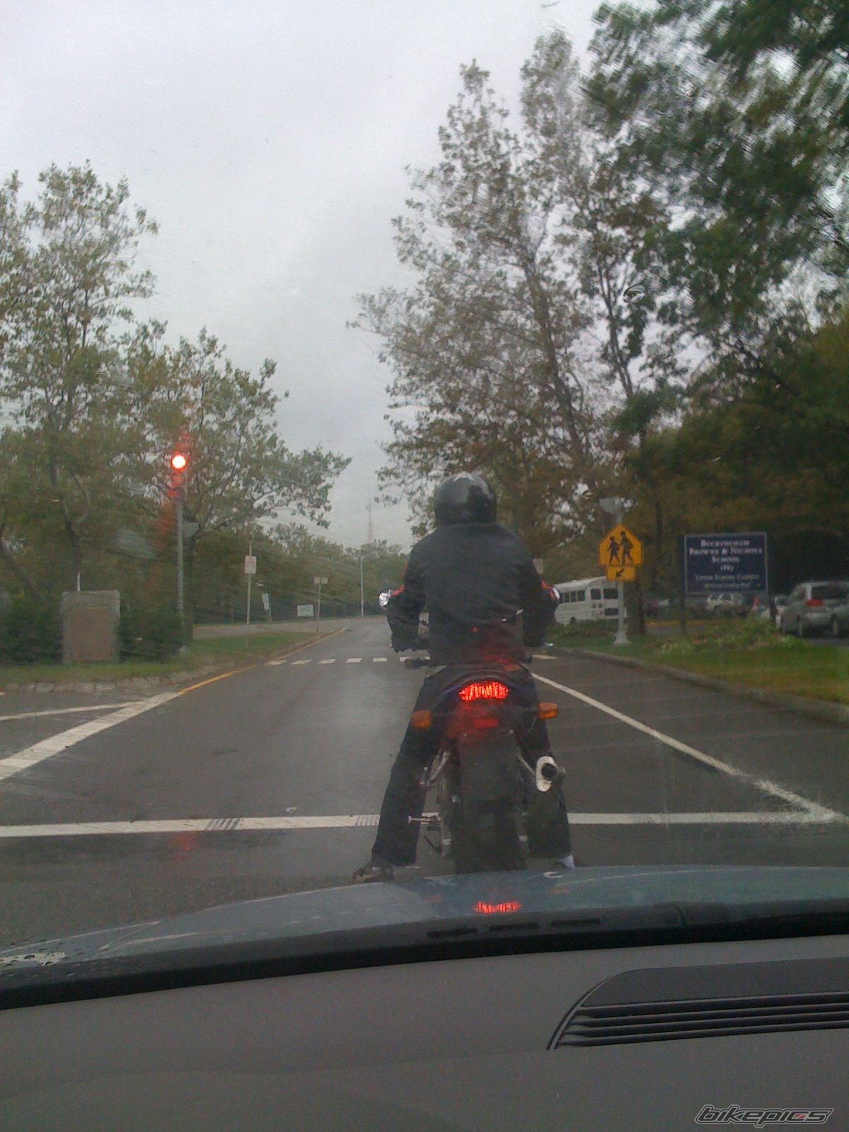 2001 SUZUKI SV 650 | Picture 1521836 motorcycle photo