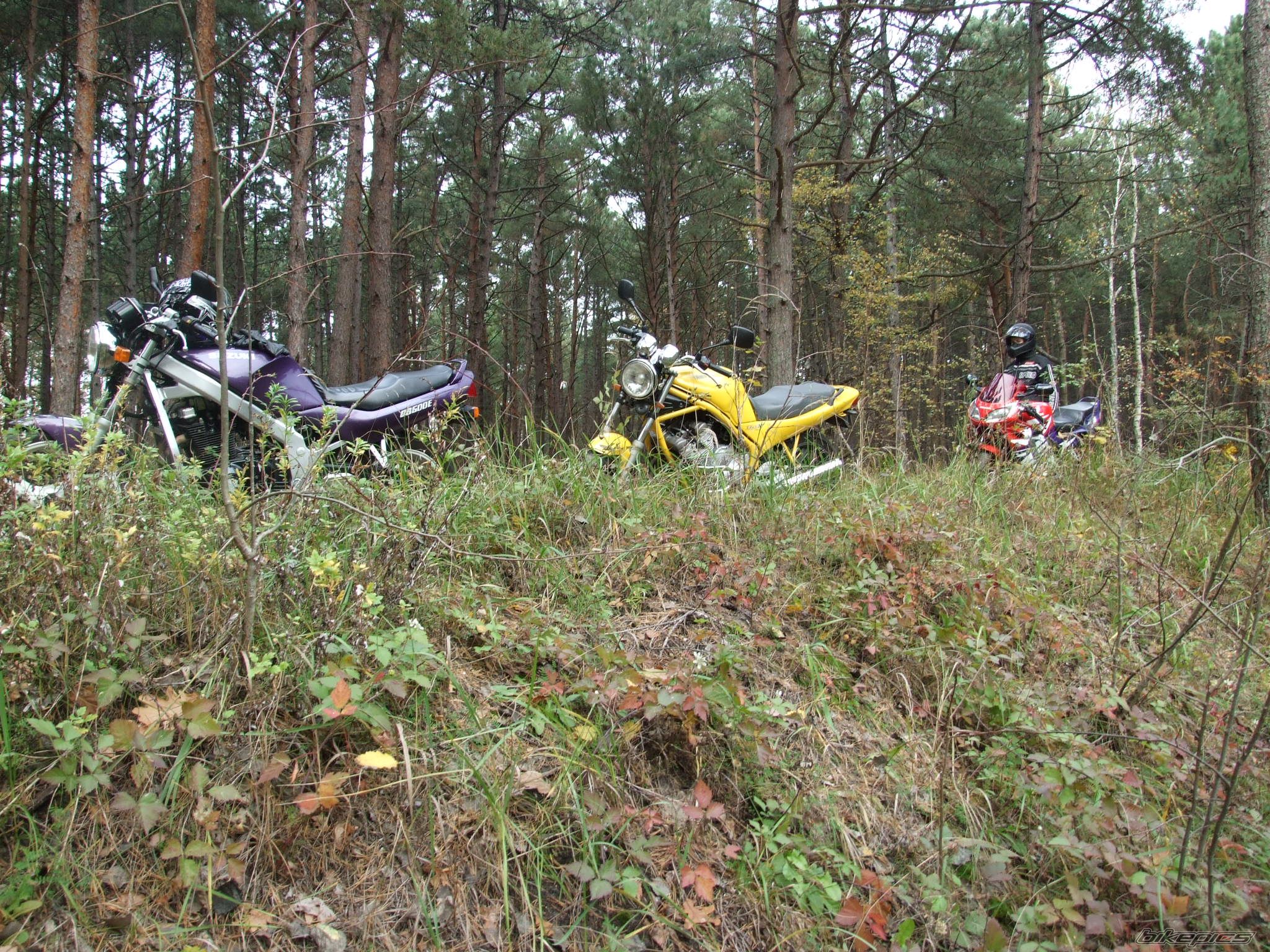 1993 SUZUKI GS 500 | Picture 1521850 motorcycle photo