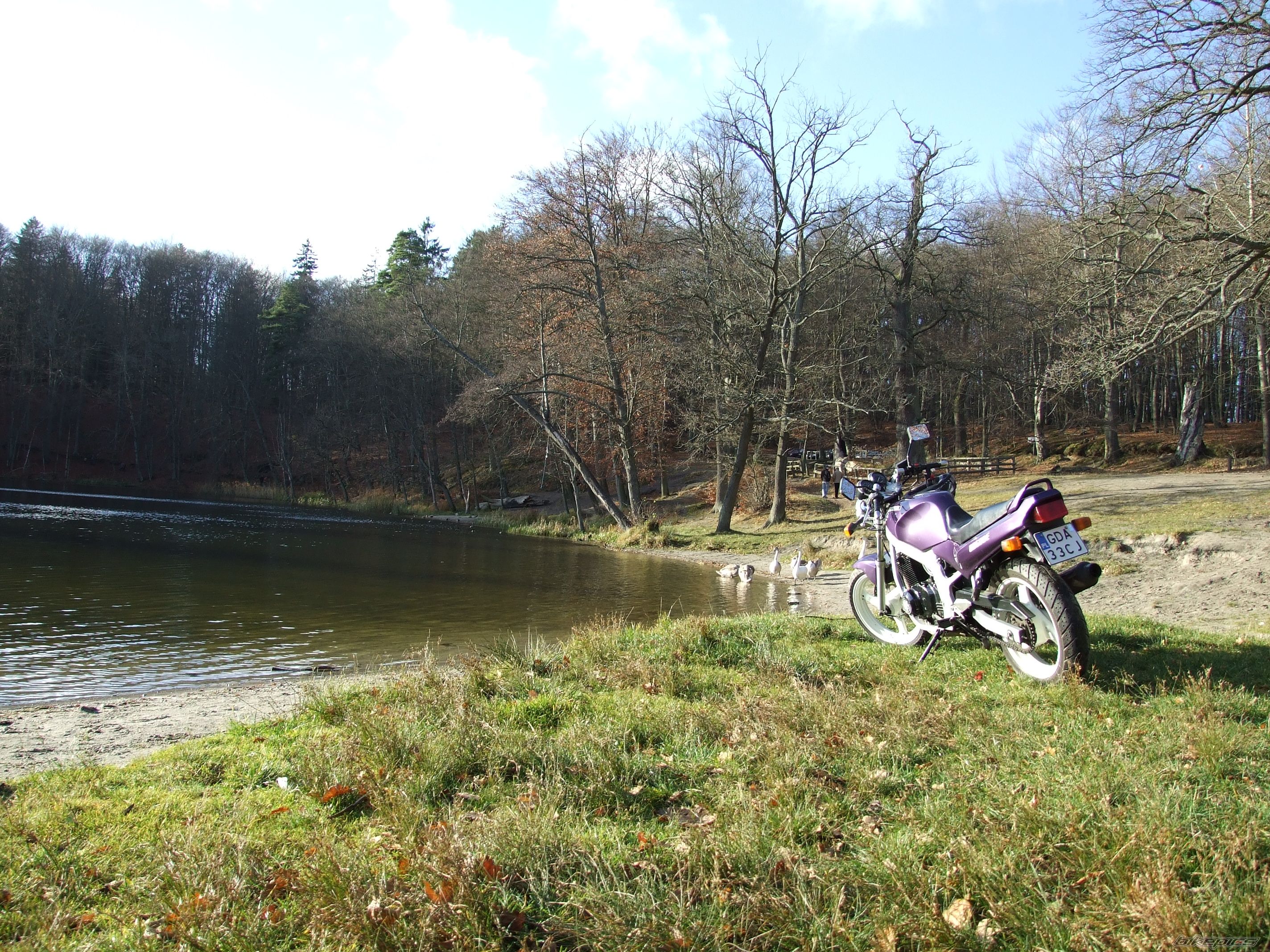 1993 SUZUKI GS 500 | Picture 1521862 motorcycle photo