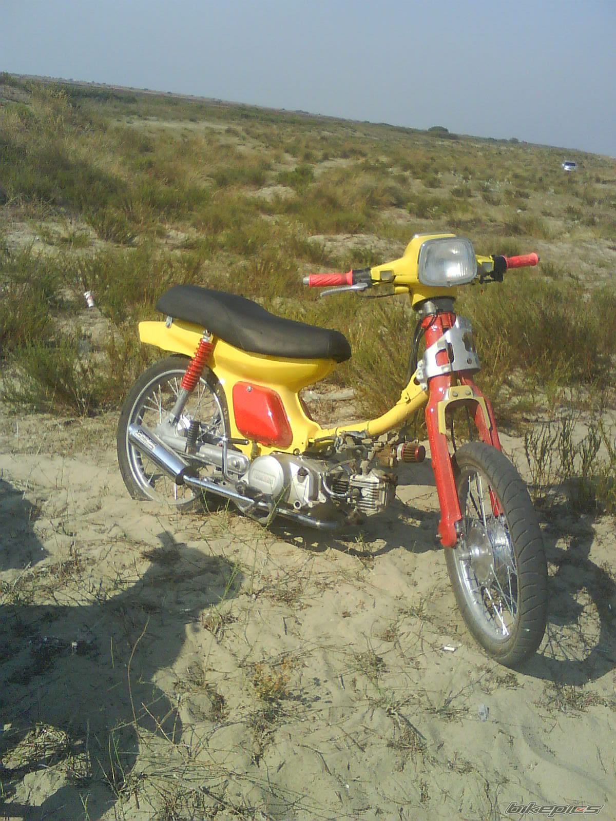 2009 YAMAHA Z 125 | Picture 1522352 motorcycle photo