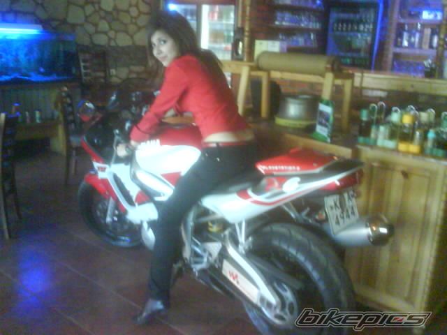 2002 YAMAHA YZF R6 | Picture 1523859 motorcycle photo
