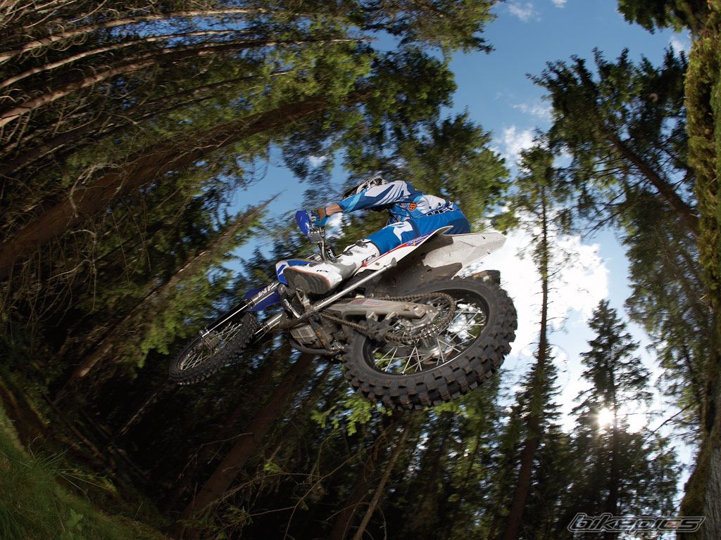 2009 HUSABERG FE 450 E | Picture 1523897 motorcycle photo
