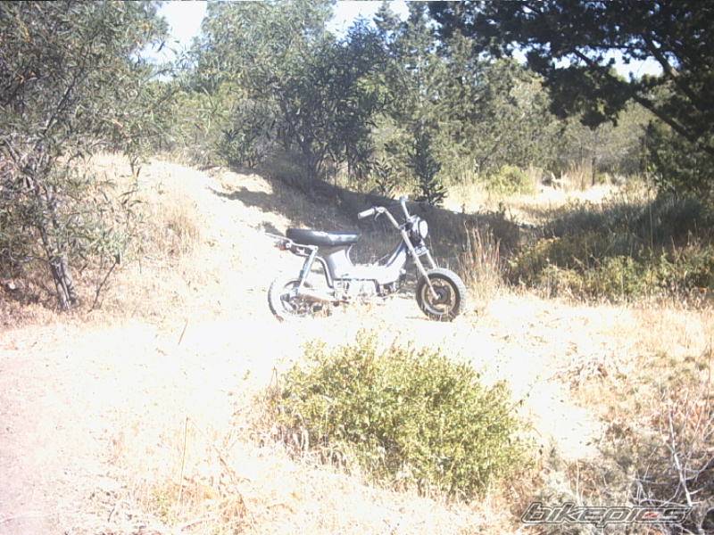 2003 HONDA CHALY | Picture 152416 motorcycle photo