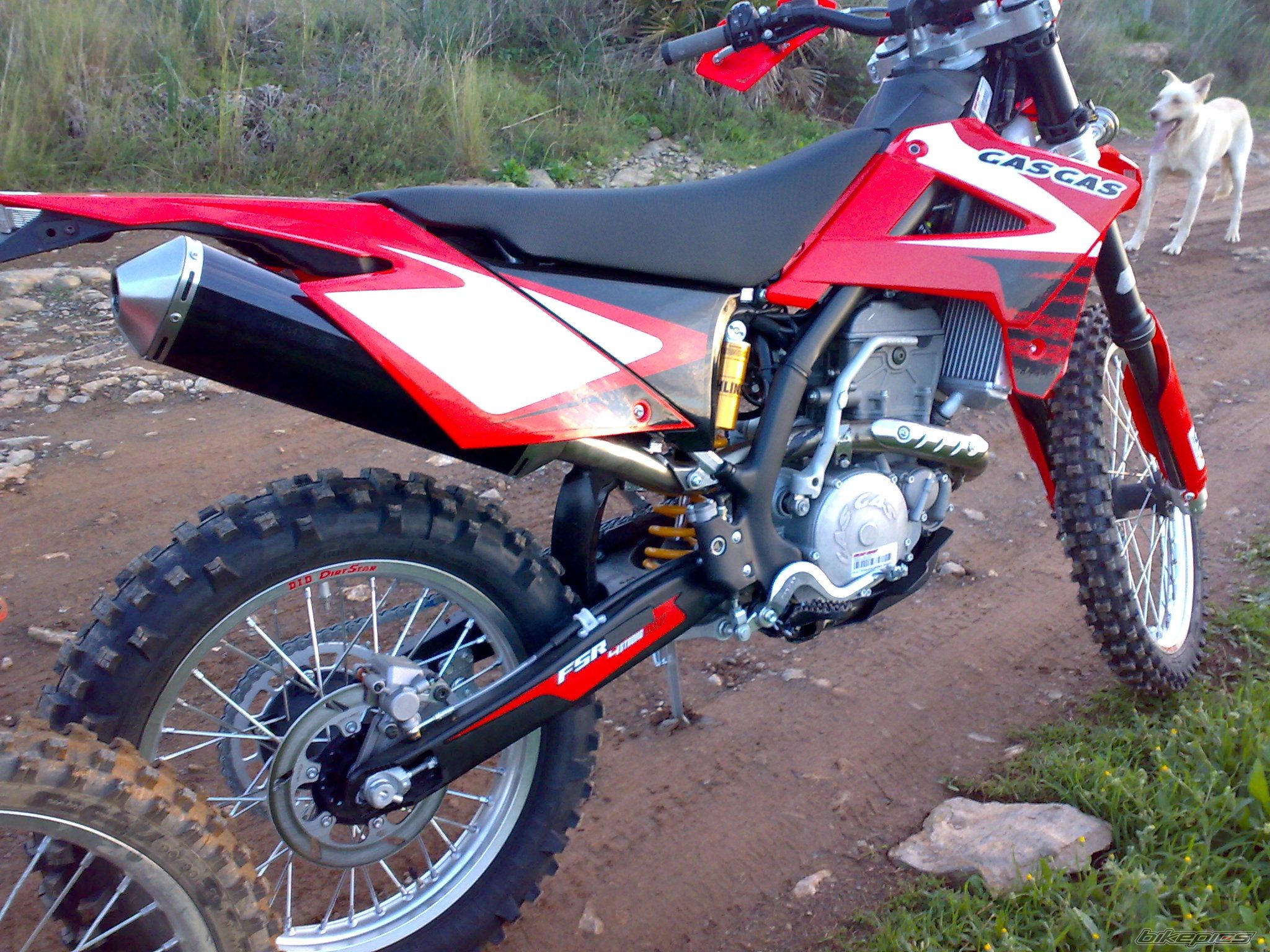 2008 GAS GAS FSE 450 | Picture 1524376 motorcycle photo