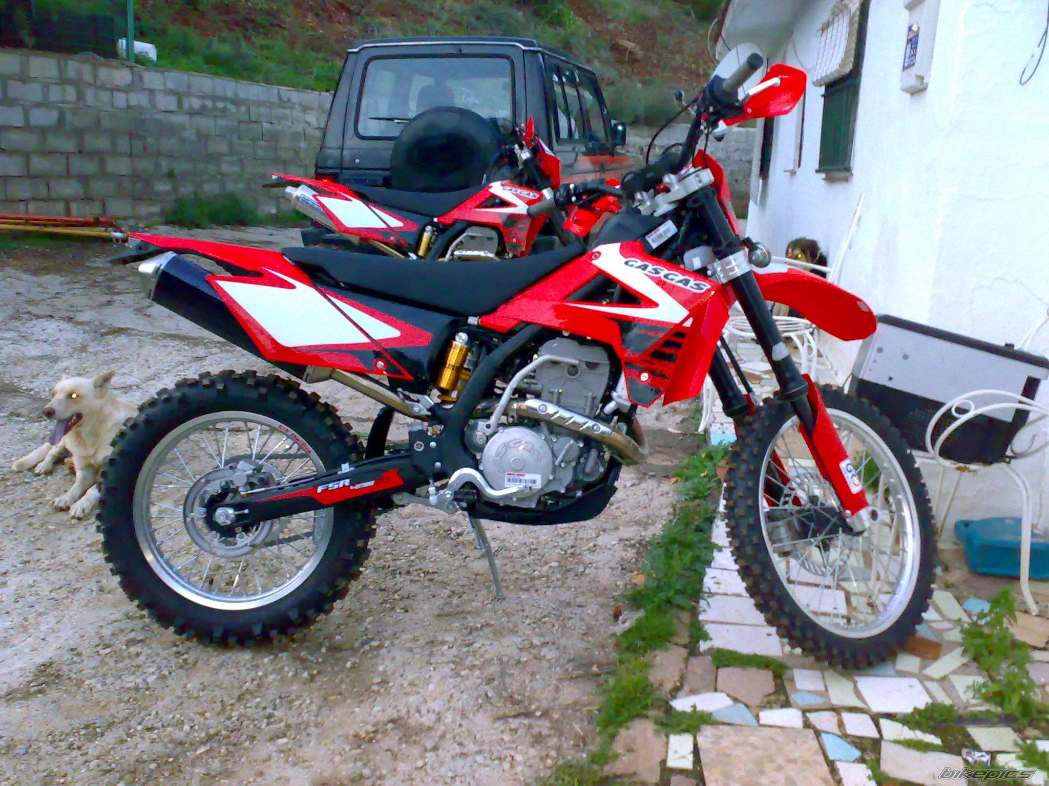 2008 GAS GAS FSE 450 | Picture 1524429 motorcycle photo
