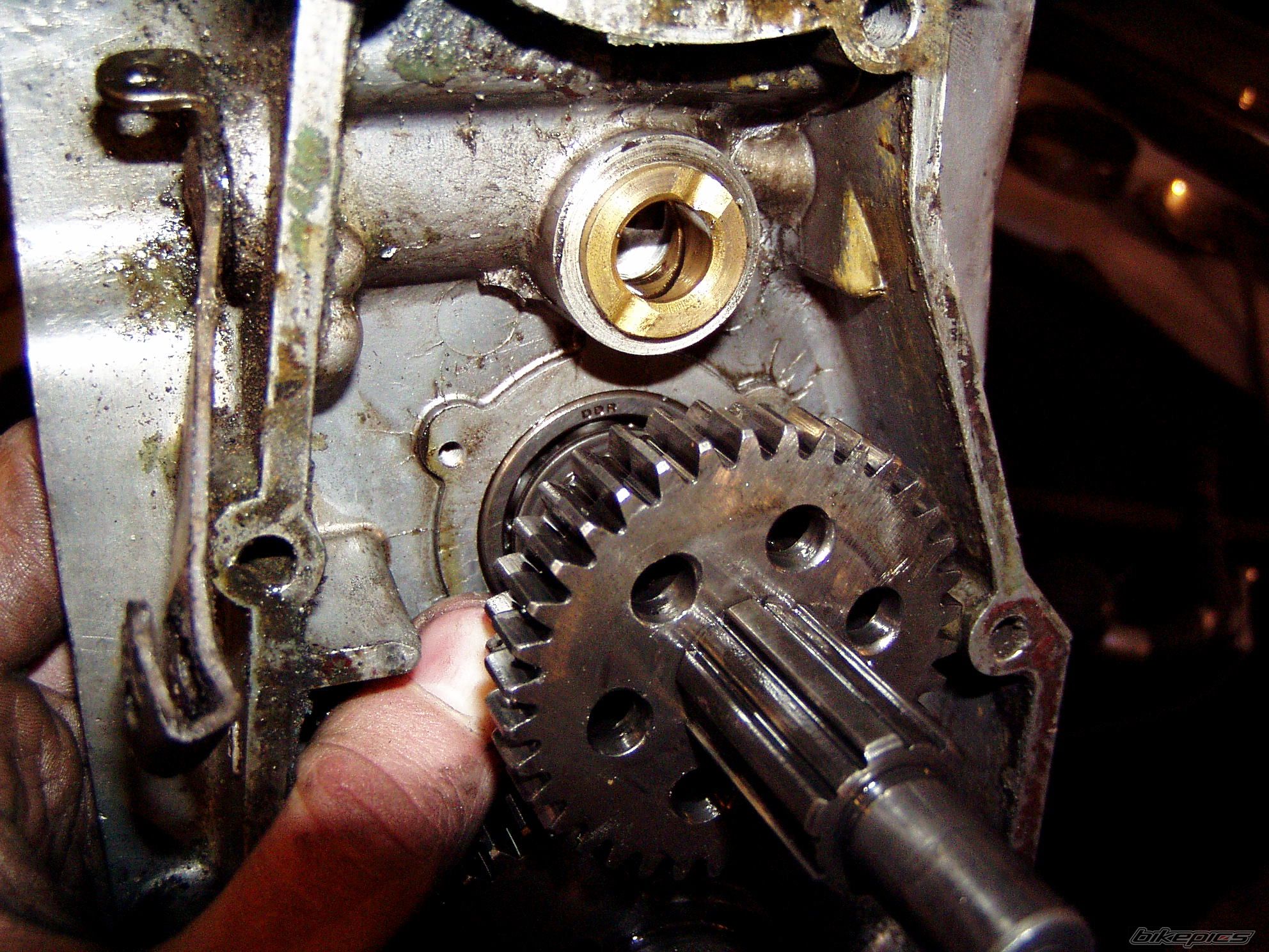    | Picture 1524454 motorcycle photo