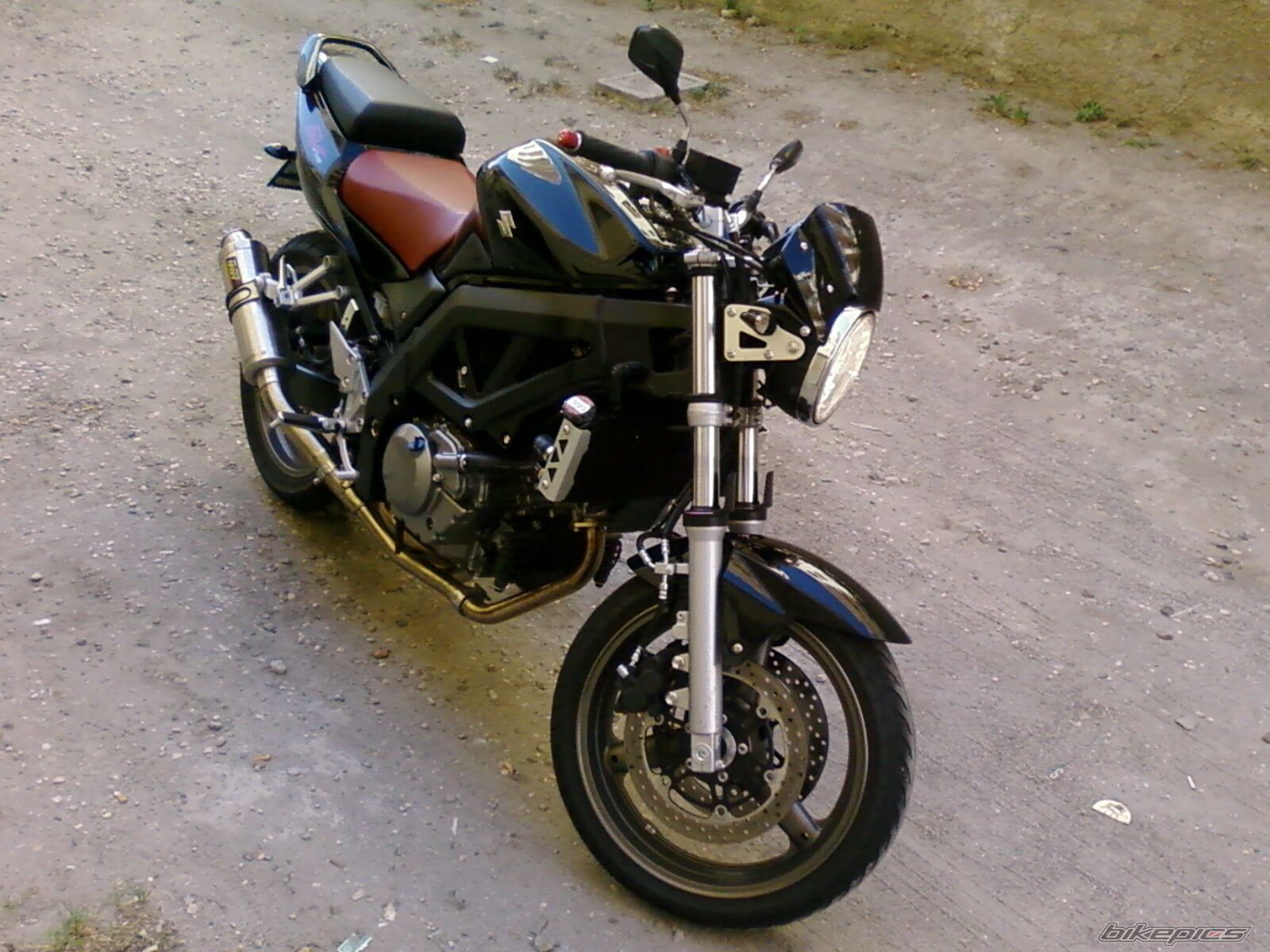 2008 SUZUKI SV 650 | Picture 1524741 motorcycle photo