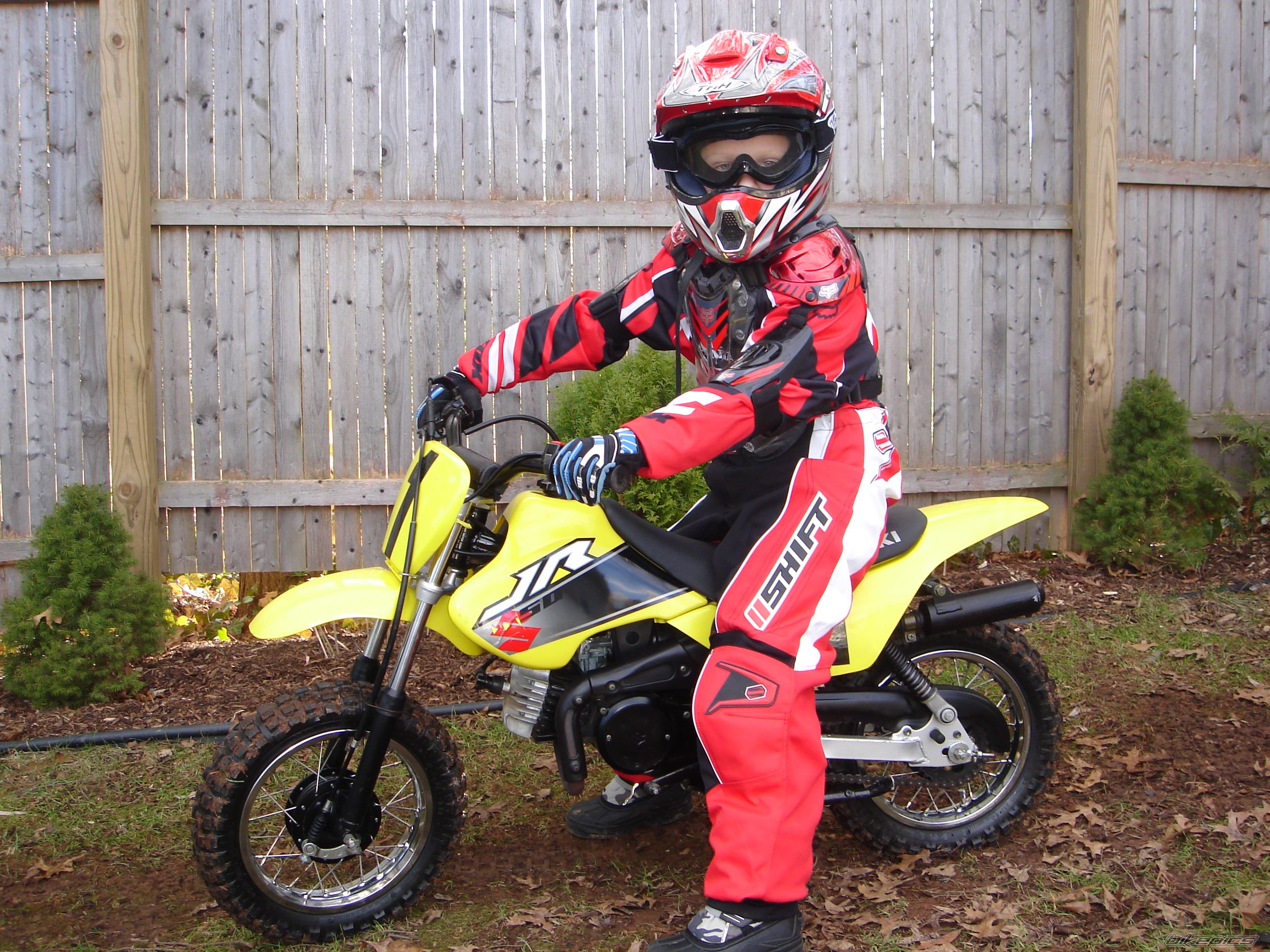 2002 SUZUKI JR 50 | Picture 1524904 motorcycle photo