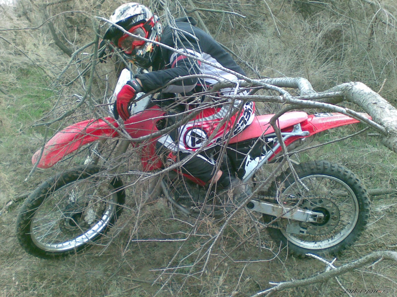 2009 HONDA CR 125 | Picture 1525745 motorcycle photo