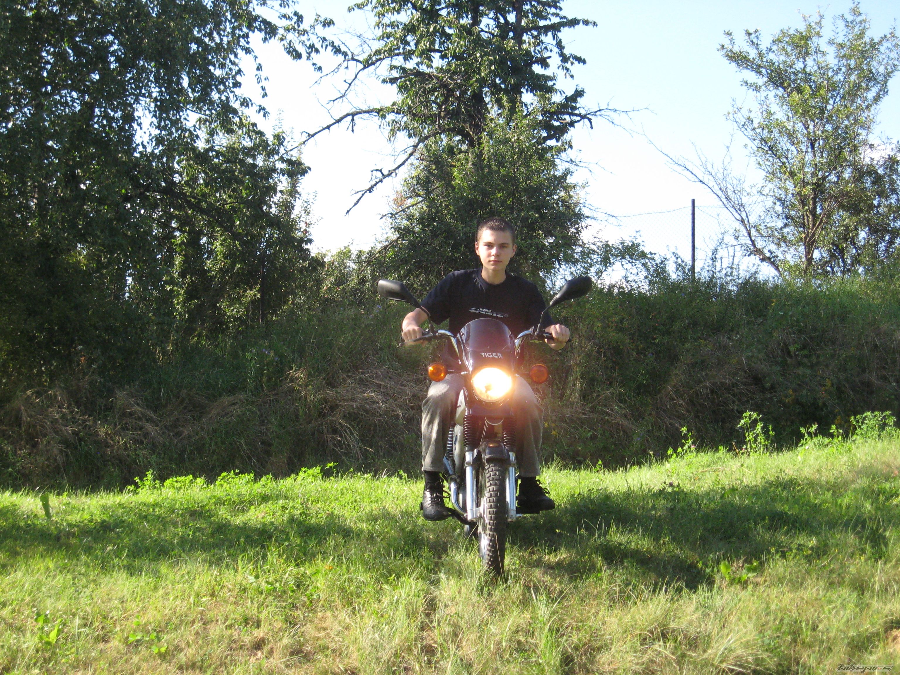 1992 SIMSON S51 ENDURO | Picture 1525815 motorcycle photo