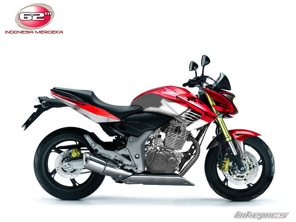 2008 HONDA TIGER | Picture 1525927 motorcycle photo