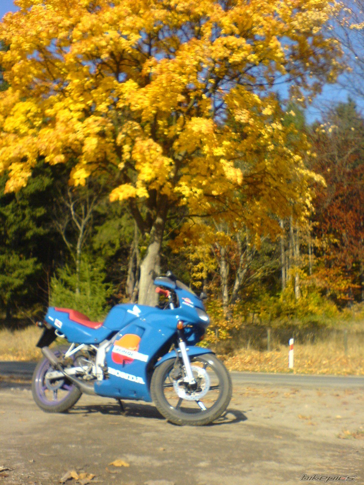 1994 HONDA NS1 80 | Picture 1525943 motorcycle photo