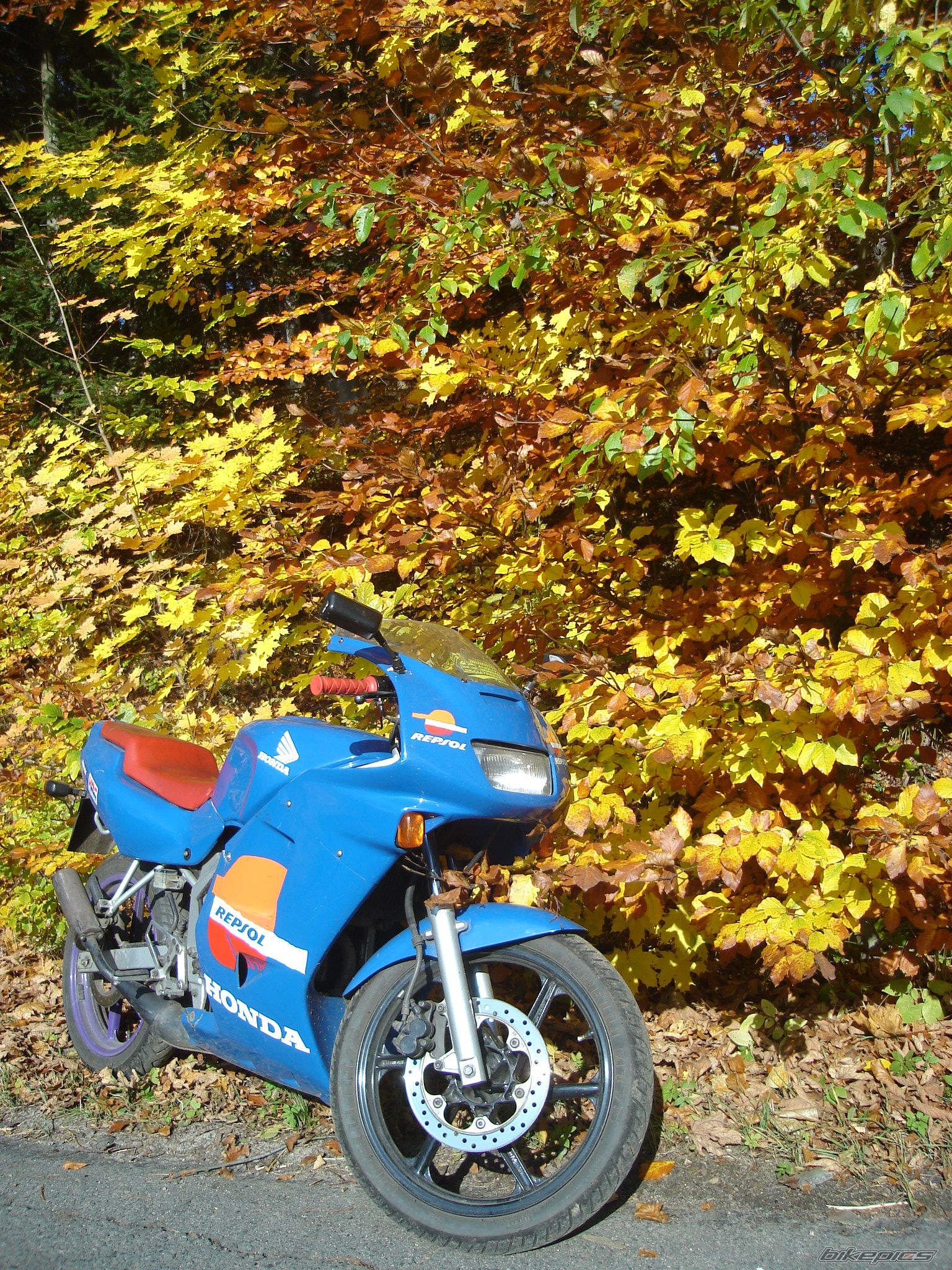 1994 HONDA NS1 80 | Picture 1525949 motorcycle photo