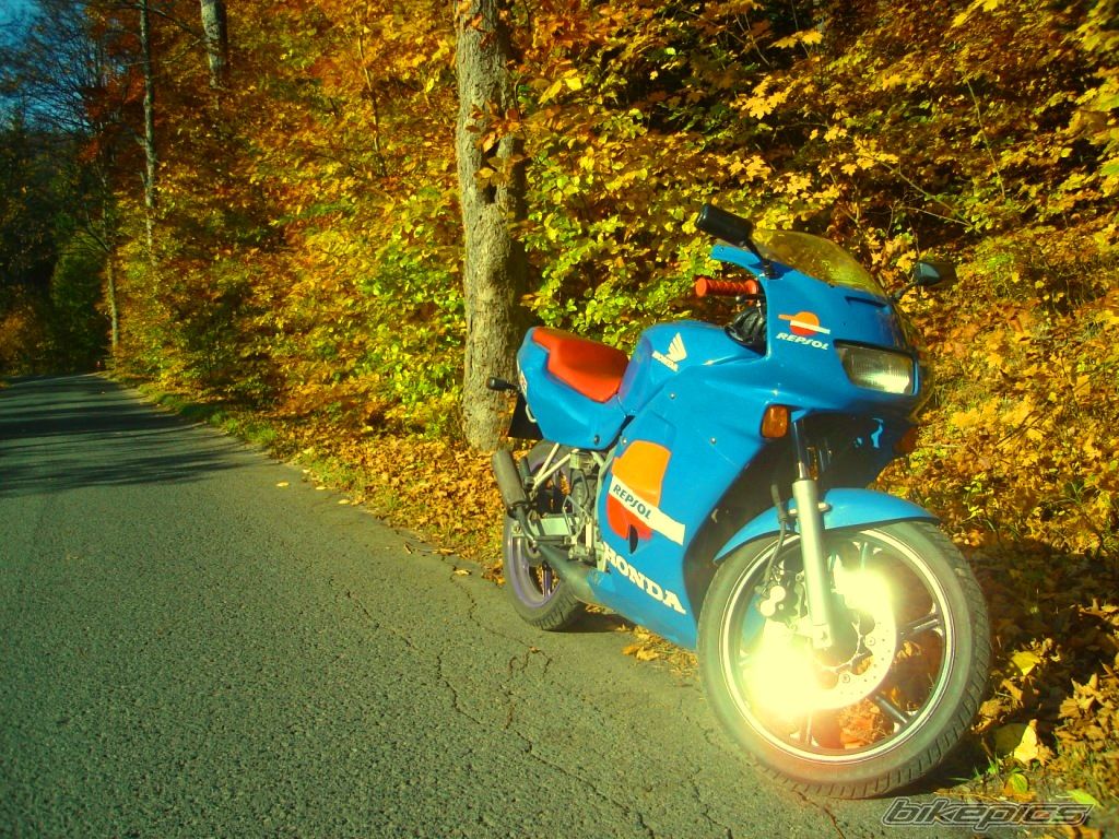 1994 HONDA NS1 80 | Picture 1525951 motorcycle photo