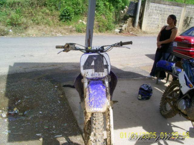 1998 YAMAHA YZ 250 | Picture 1525991 motorcycle photo