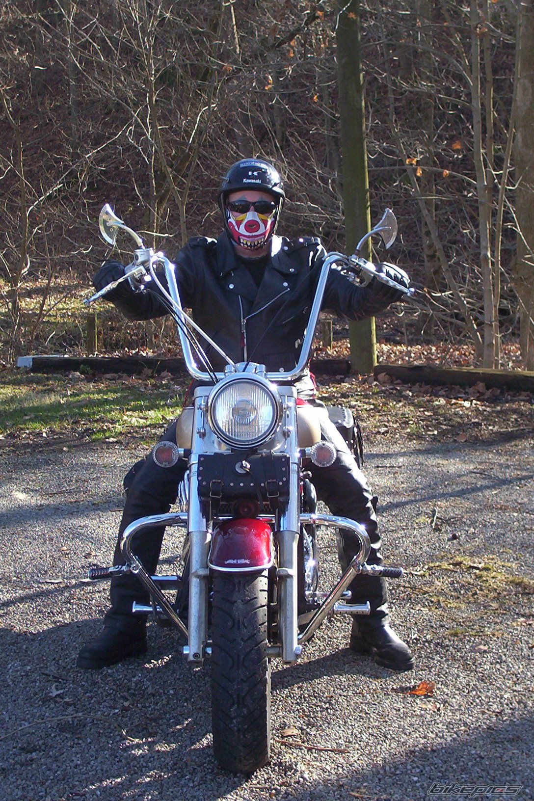 2000 KAWASAKI VULCAN 800 | Picture 1527001 motorcycle photo