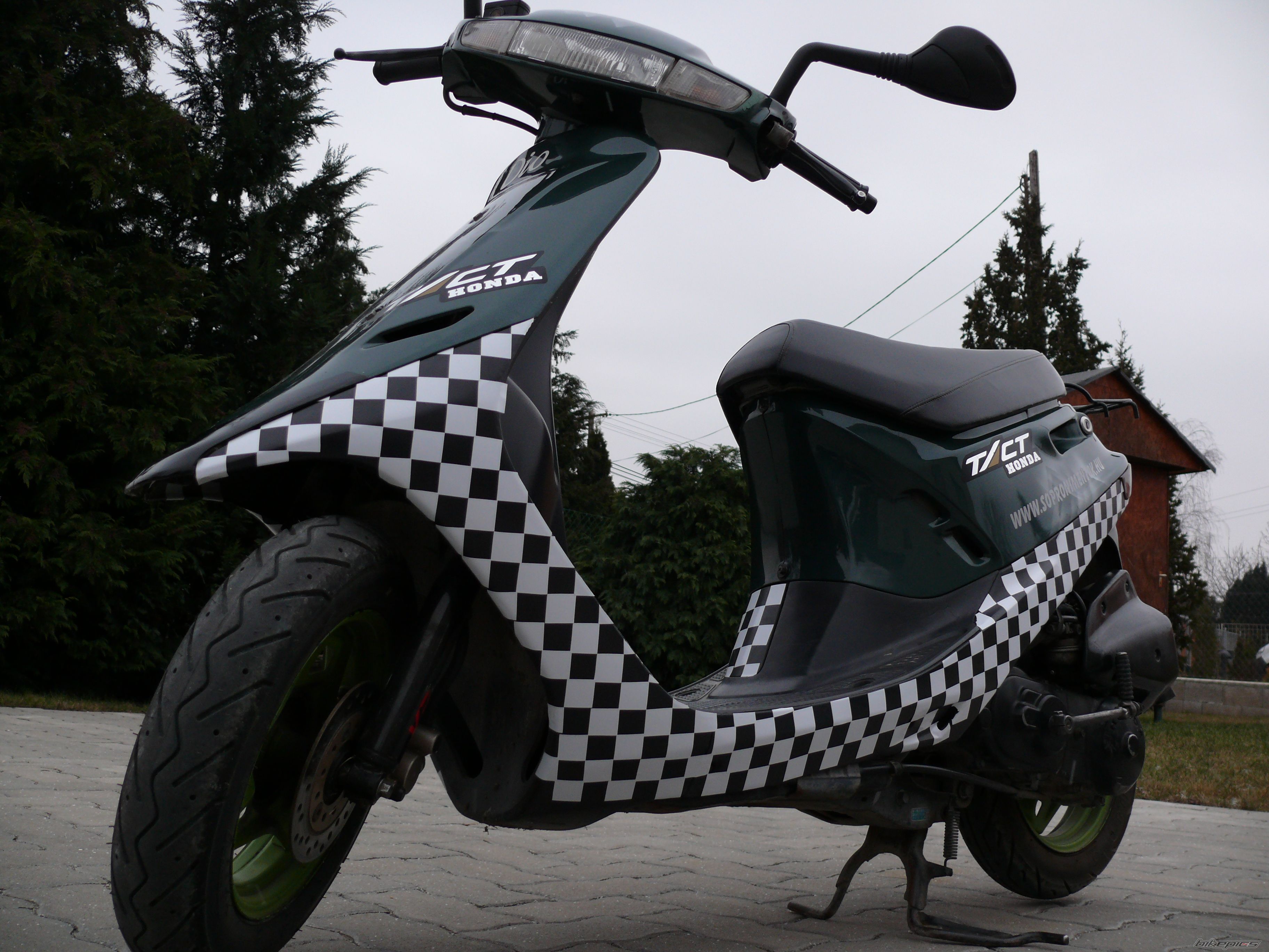 1993 HONDA DIO 50 | Picture 1527535 motorcycle photo