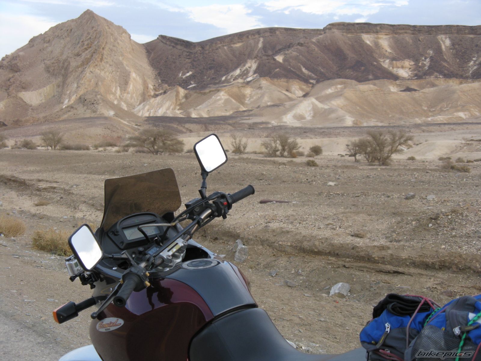 1998 SUZUKI XF 650 | Picture 1527559 motorcycle photo