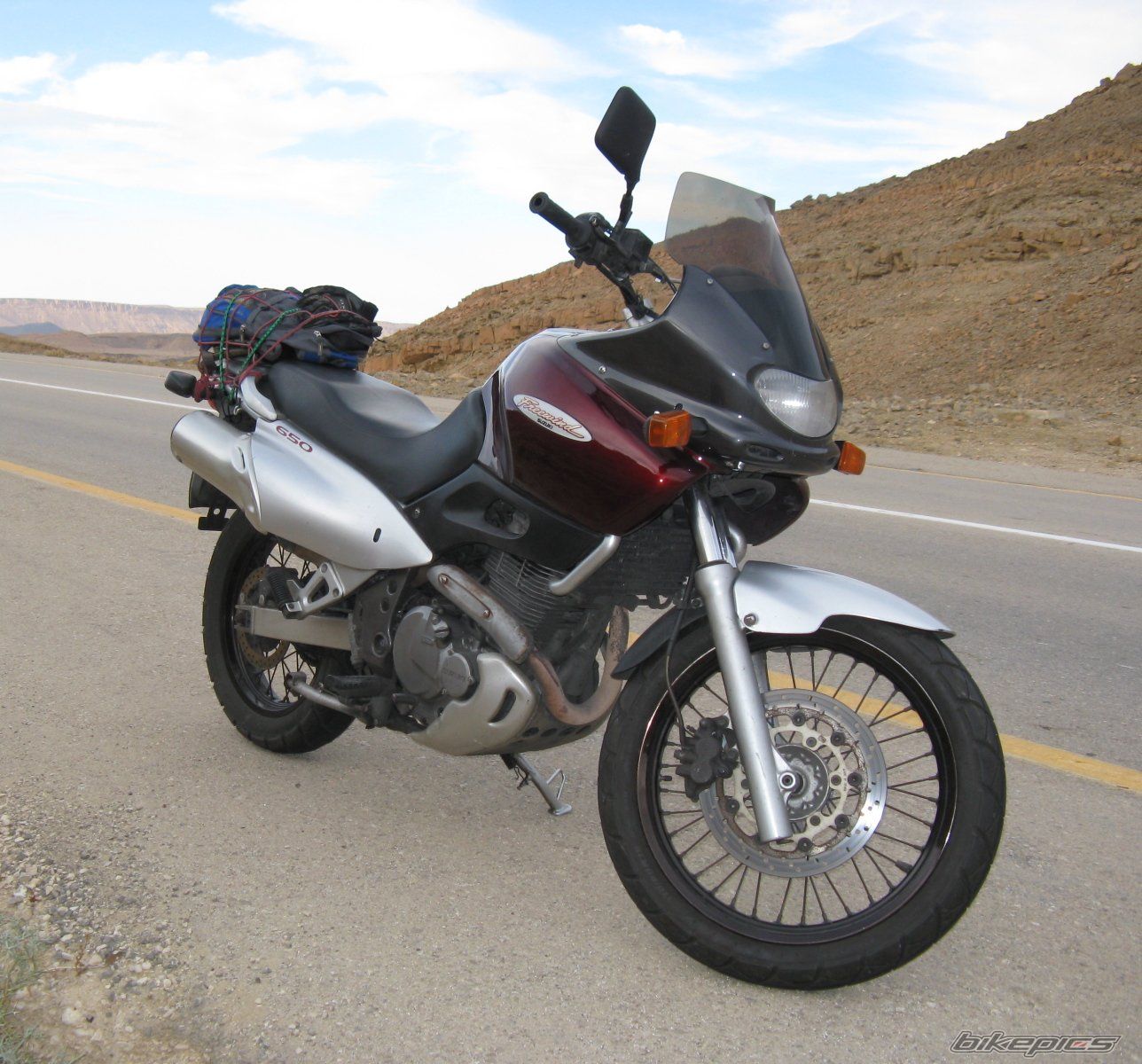 1998 SUZUKI XF 650 | Picture 1527563 motorcycle photo