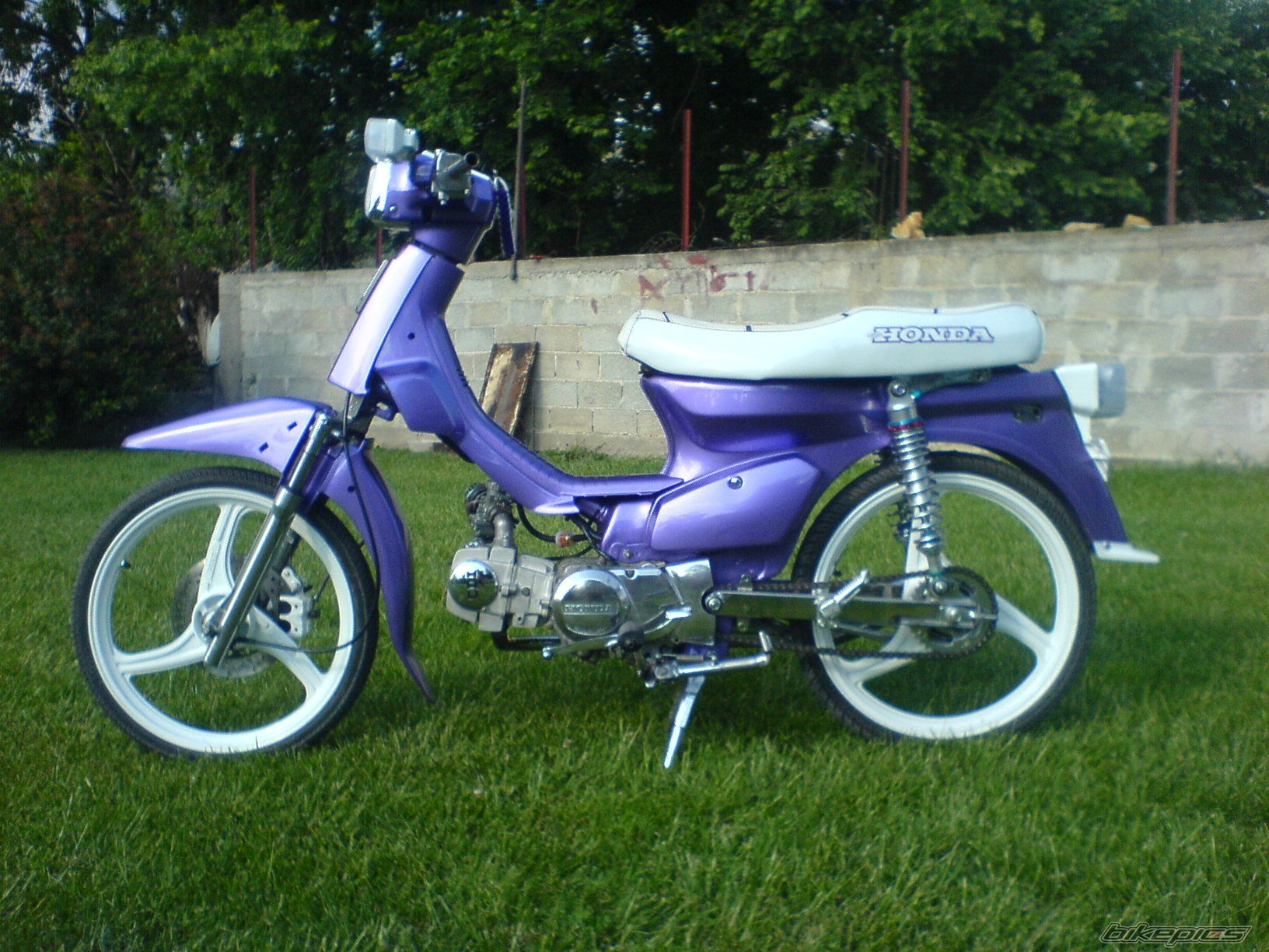 2009 HONDA GLX 50 | Picture 1527696 motorcycle photo