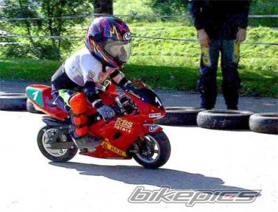 1979 SUZUKI JR 80 | Picture 15280 motorcycle photo