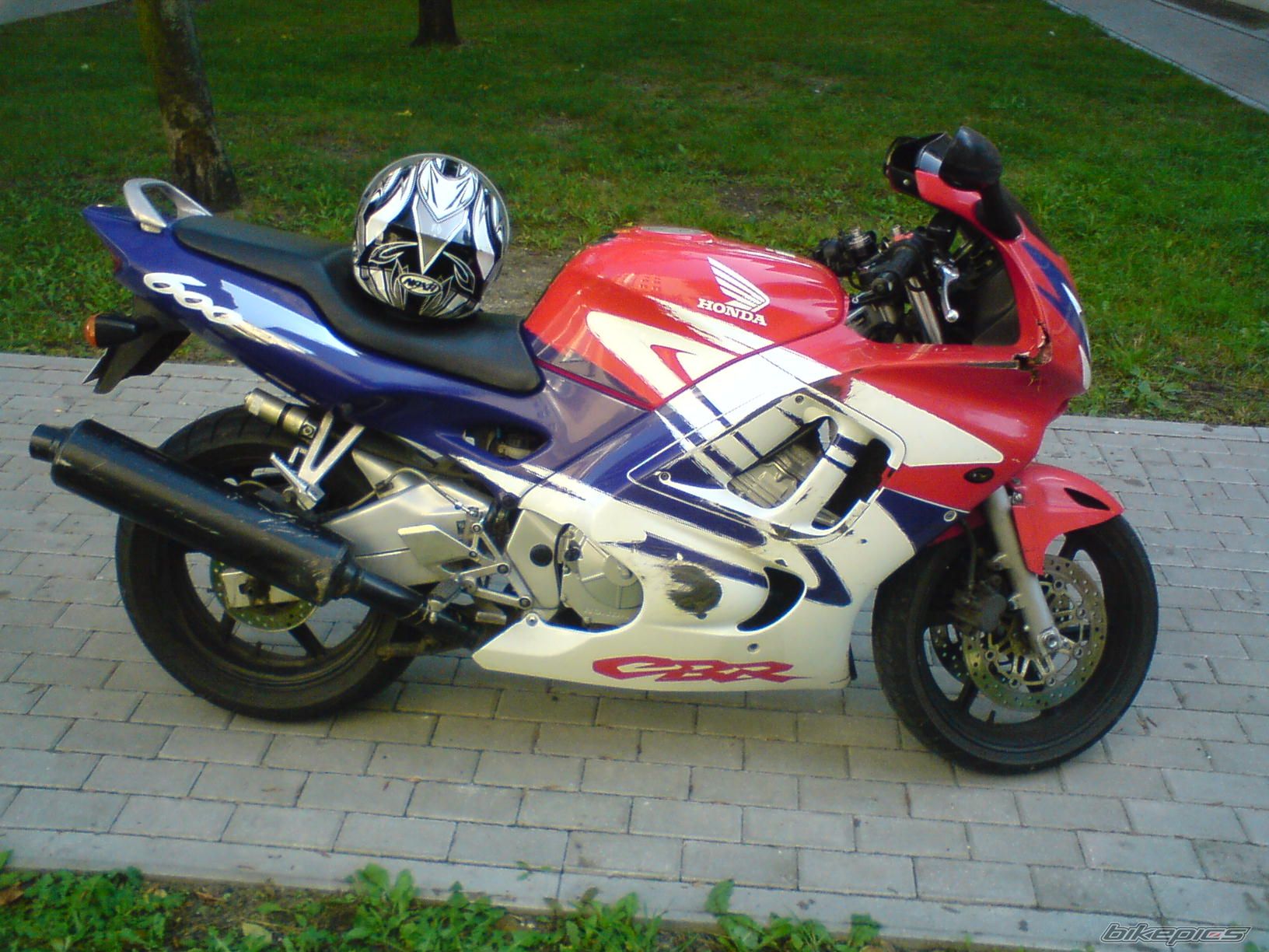1998 HONDA CBR 600 | Picture 1528652 motorcycle photo