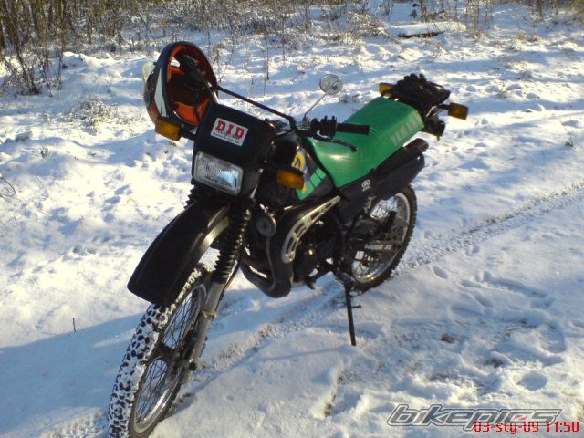 1991 YAMAHA DT 80 | Picture 1528725 motorcycle photo
