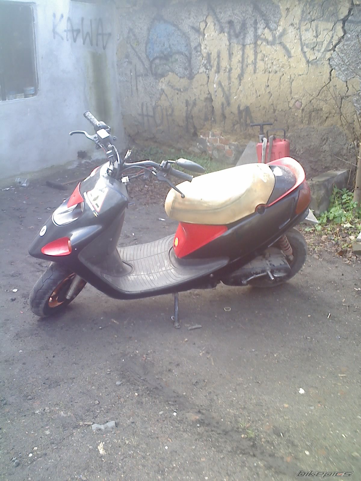 1999 MALAGUTI F 10 50 | Picture 1528805 motorcycle photo