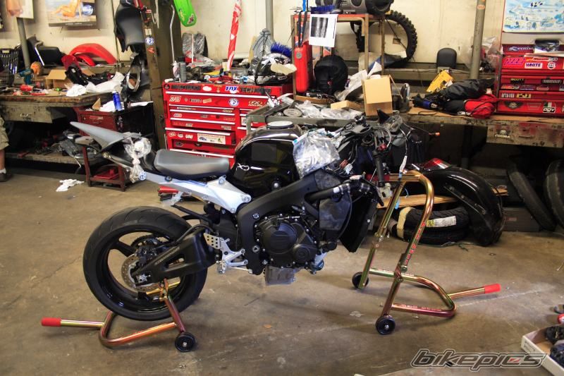 2008 HONDA CBR 600 RR | Picture 1529231 motorcycle photo