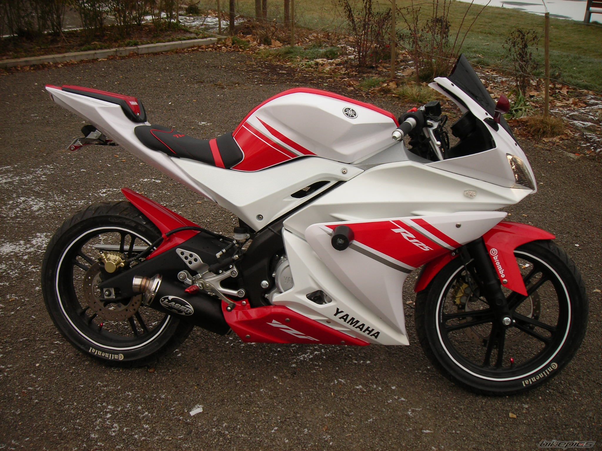2008 YAMAHA YZF R125 | Picture 1529592 motorcycle photo