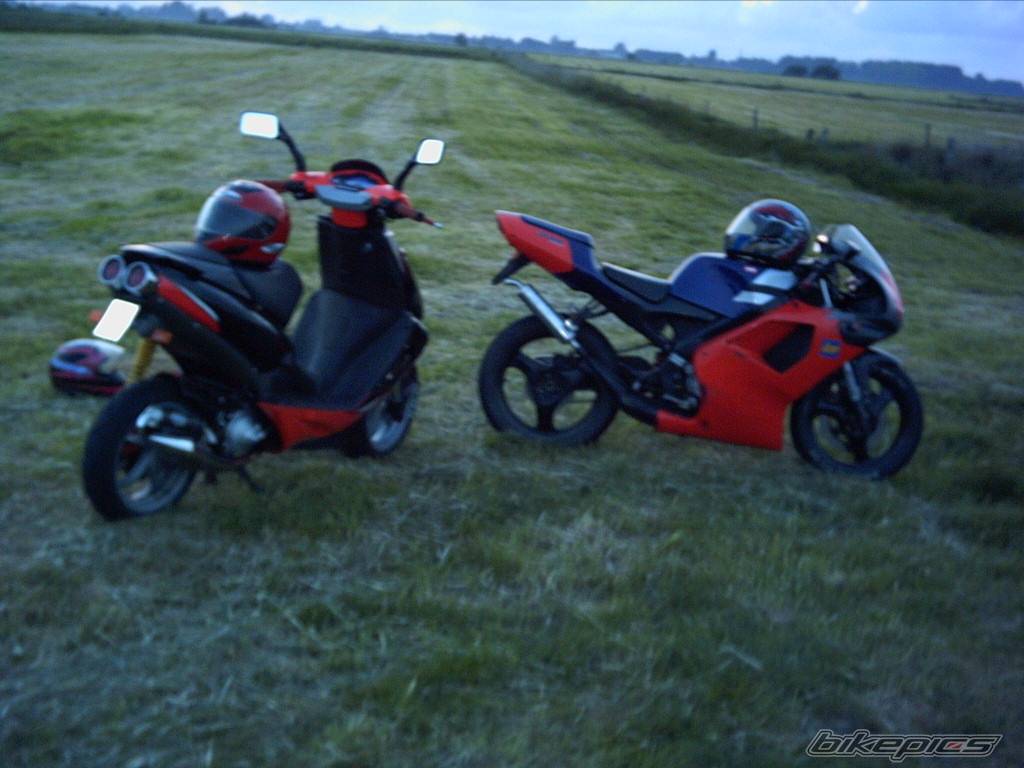 1995 APRILIA RS 50 | Picture 152974 motorcycle photo