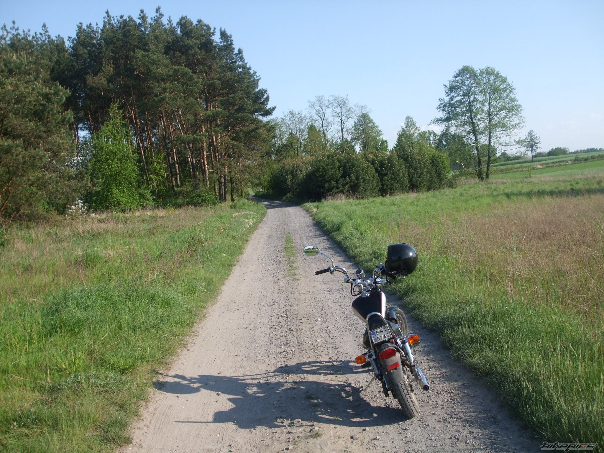2008 JINCHENG JC 50 Q 8 KNIGHT | Picture 1529767 motorcycle photo