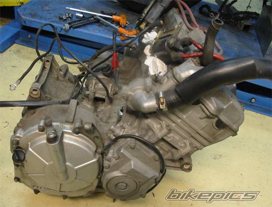 1992 HONDA CBR 600 | Picture 153005 motorcycle photo