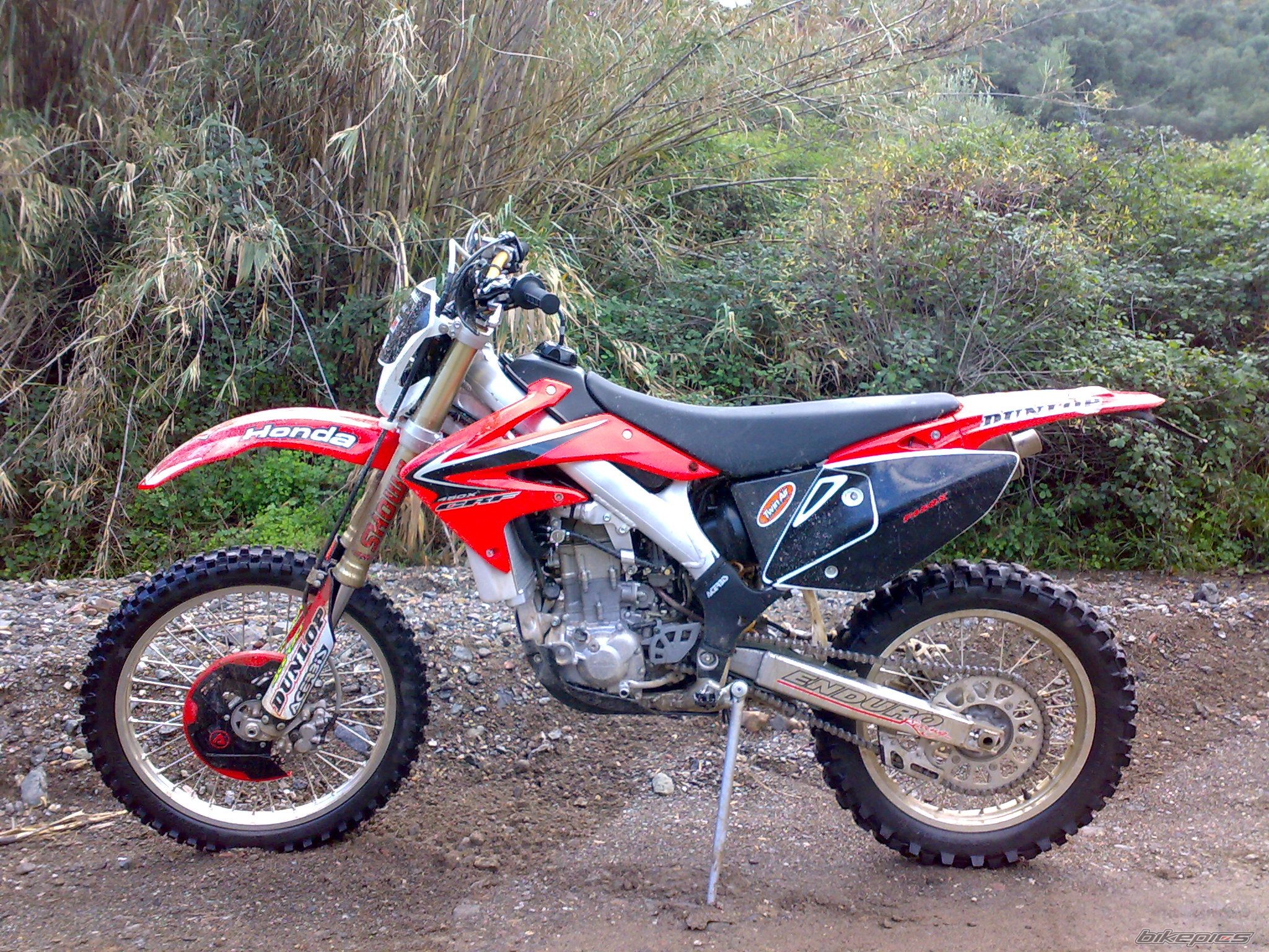 2008 HONDA CRF 450 | Picture 1530084 motorcycle photo