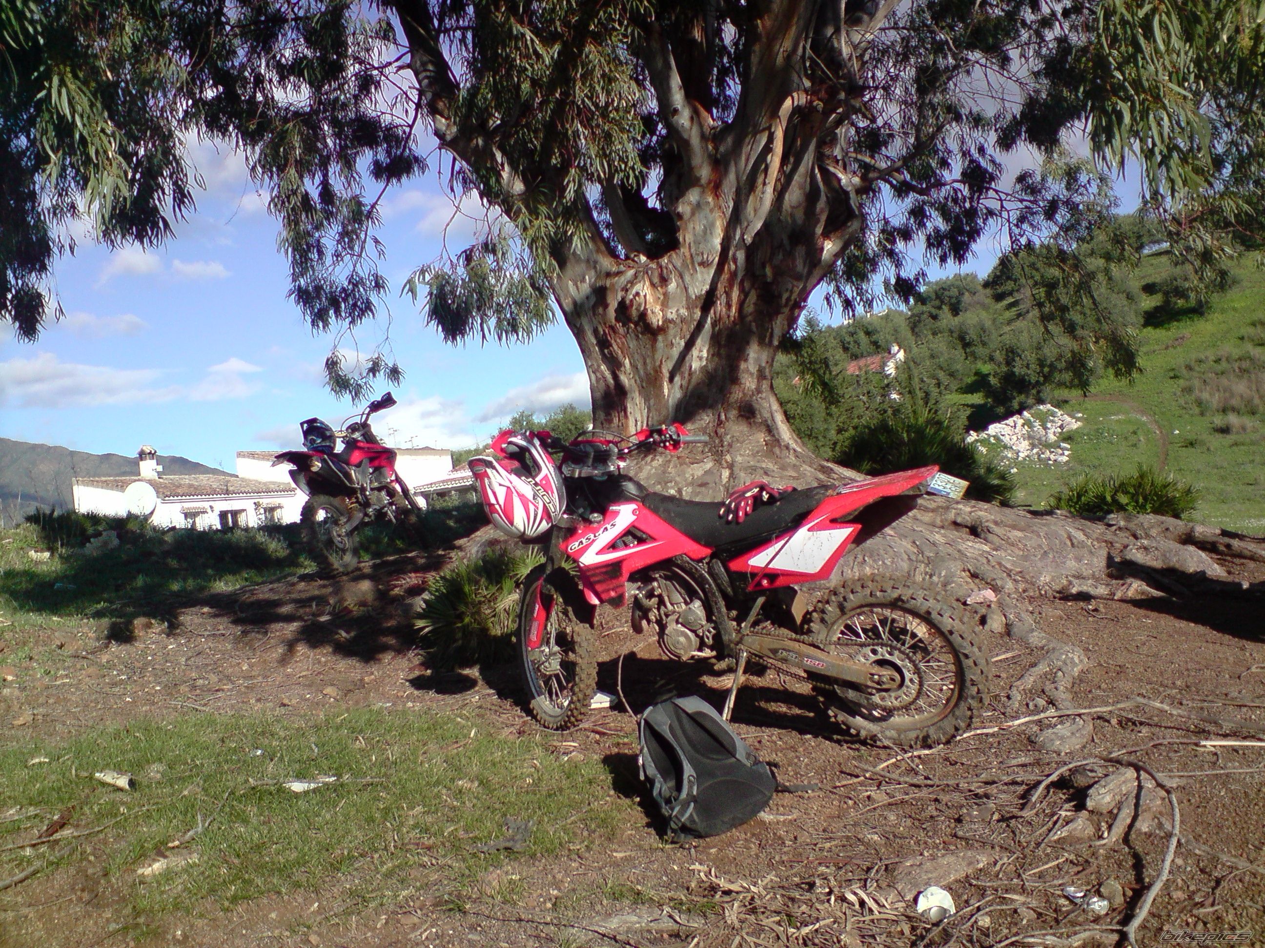 2007 GAS GAS FSE 450 | Picture 1530096 motorcycle photo