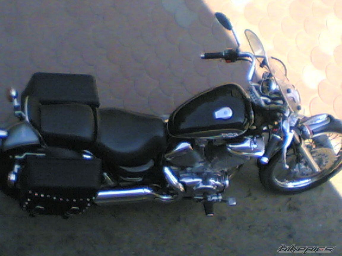 1995 YAMAHA VIRAGO 535 | Picture 1530128 motorcycle photo