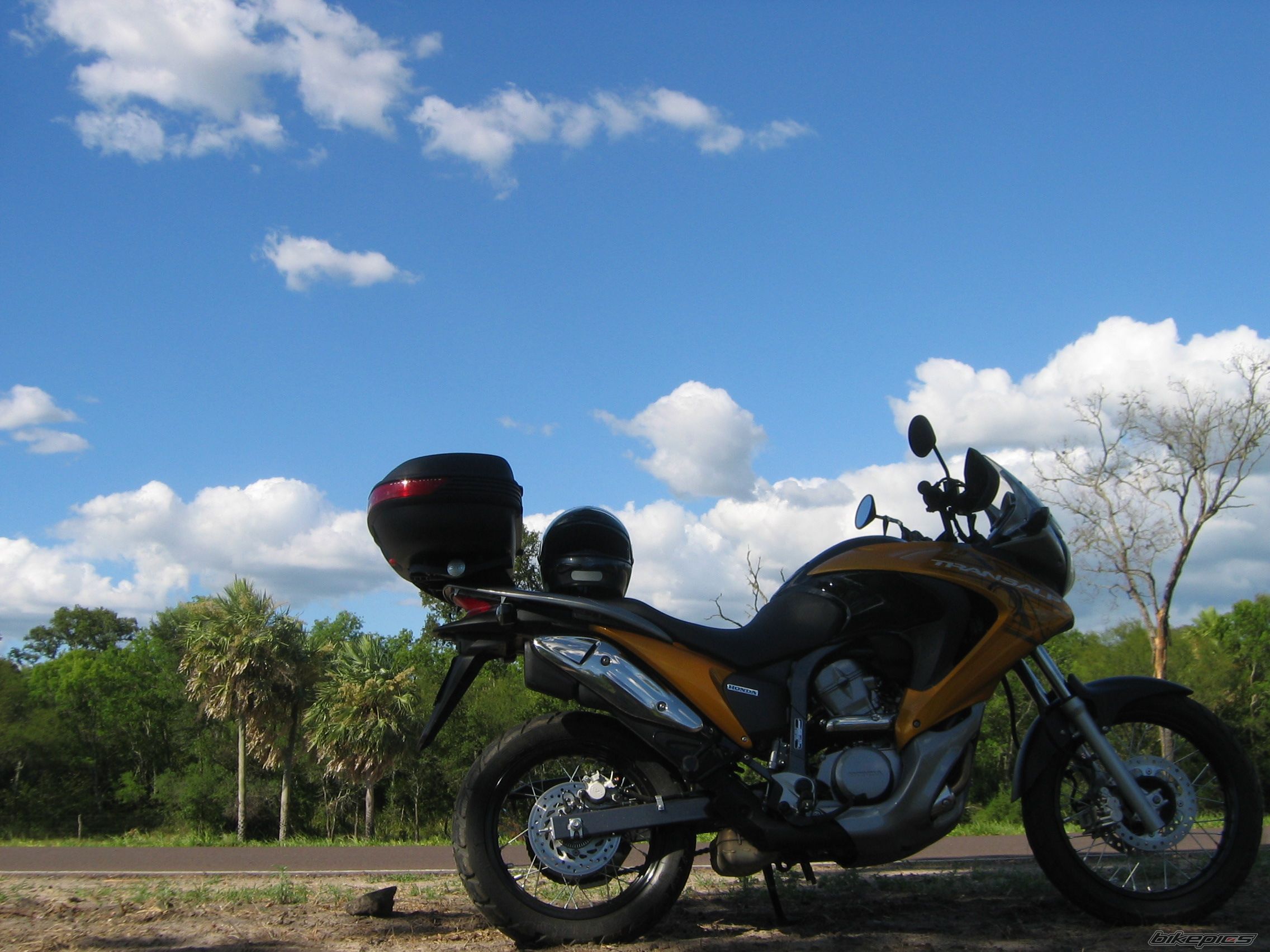 2008 HONDA XL 650V TRANSALP | Picture 1530363 motorcycle photo