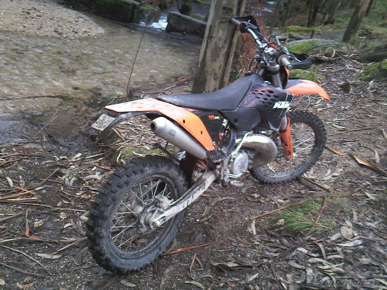 2009 KTM 250 EXC | Picture 1530771 motorcycle photo