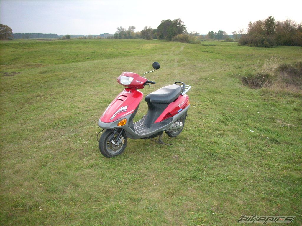 1996 HONDA BALI 50 | Picture 1531106 motorcycle photo