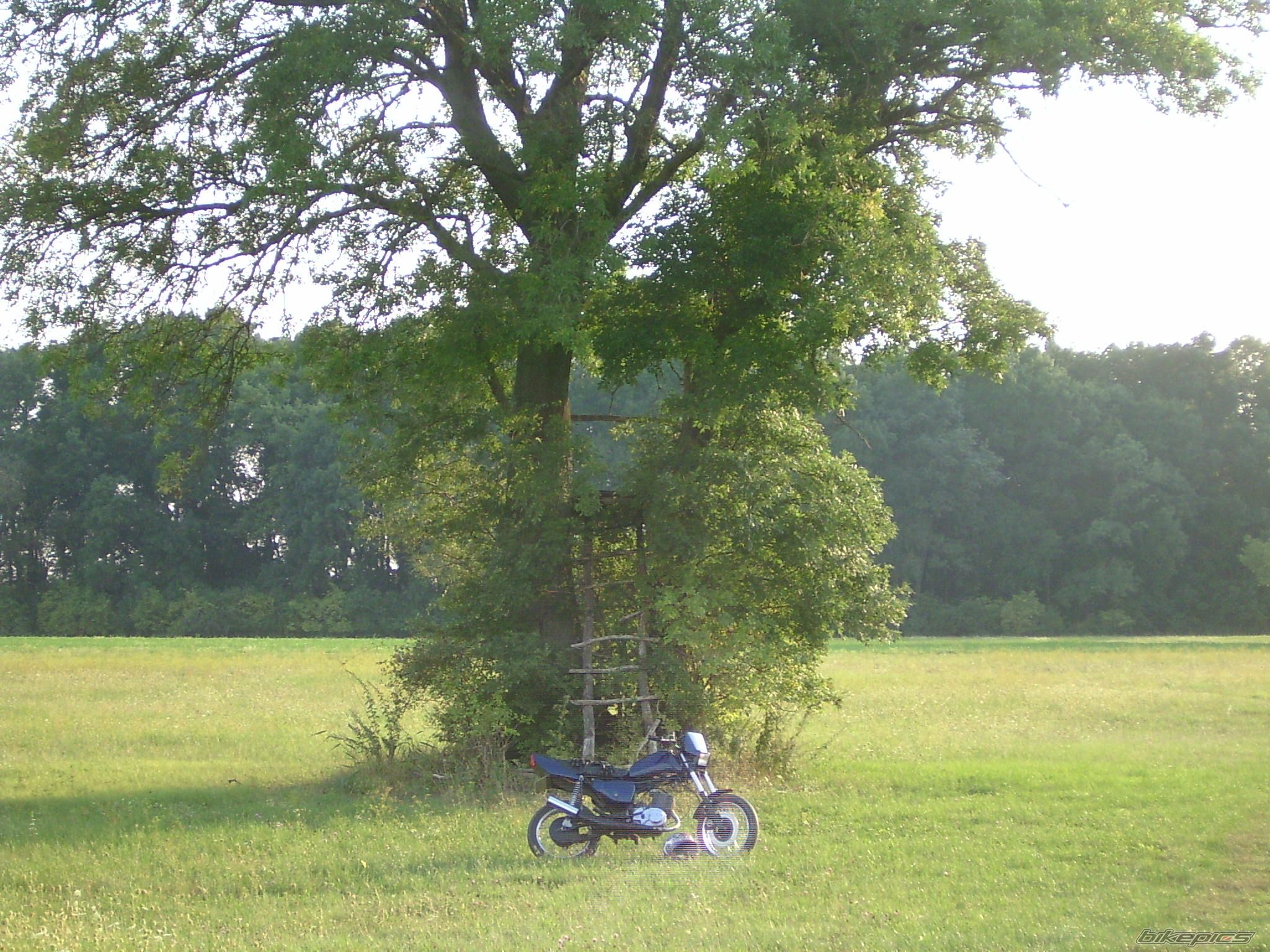 2007 MZ ETZ 150 | Picture 1531304 motorcycle photo