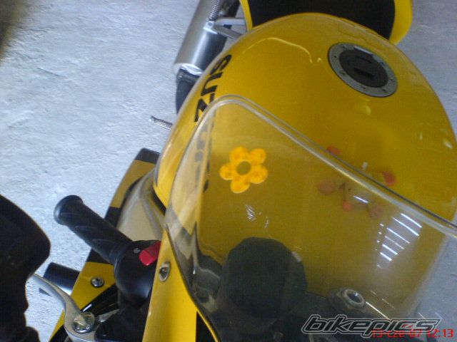 2001 SUZUKI GSX R 600 | Picture 1531469 motorcycle photo