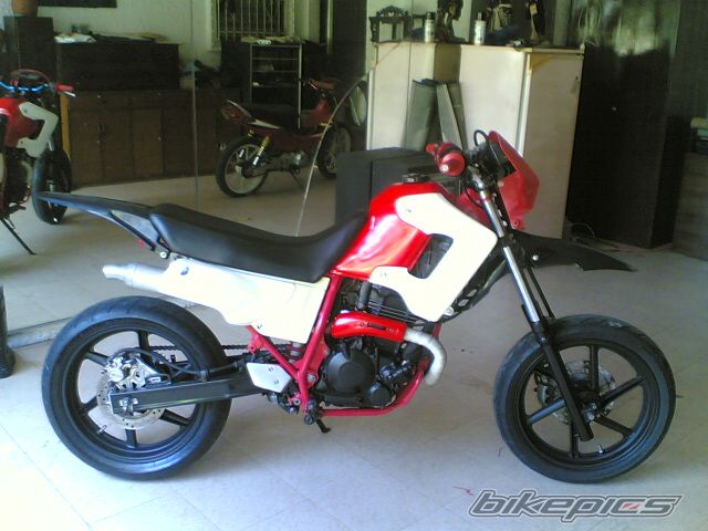 1996 HONDA XL 250 | Picture 1531647 motorcycle photo