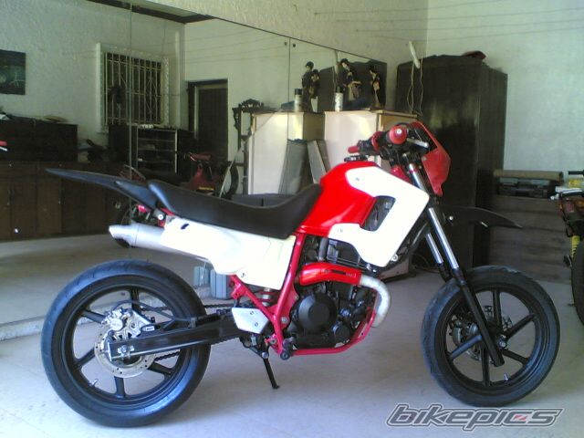 1996 HONDA XL 250 | Picture 1531648 motorcycle photo